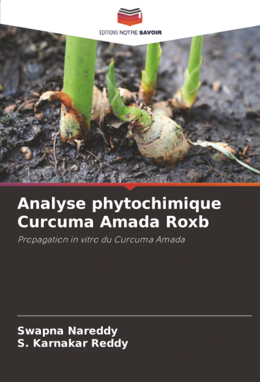 Analyse phytochimique Curcuma Amada Roxb: Propagation in vitro du Curcuma Amada