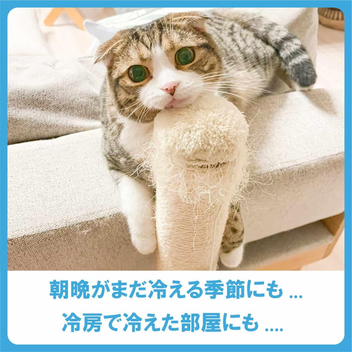 Amazon | 温水機能 猫 水飲み器 自動給水器 犬 ペット用 給水器 温水