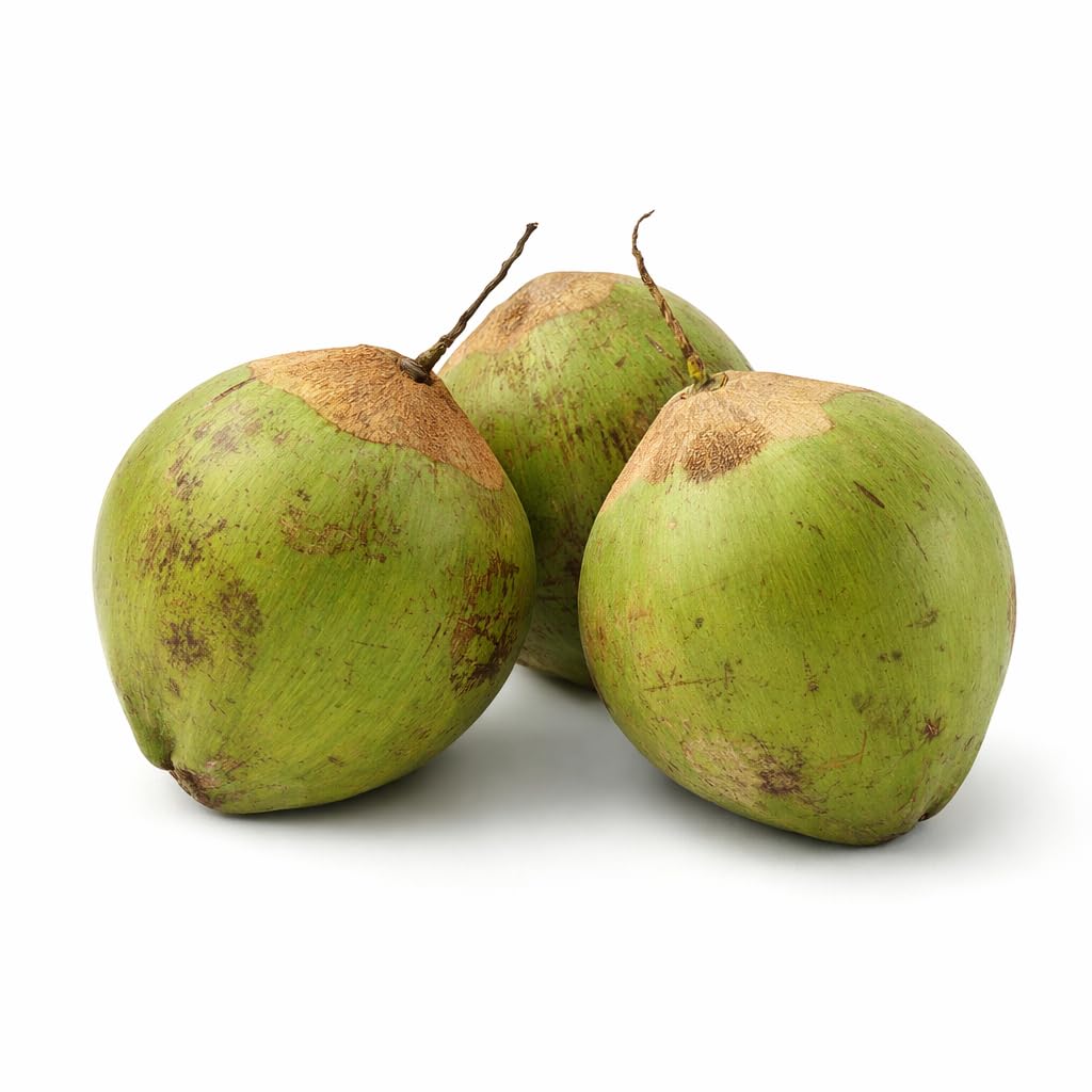 Fresh Green Coconut, Natural Whole Coconuts, Ready to Open, 3 Pack