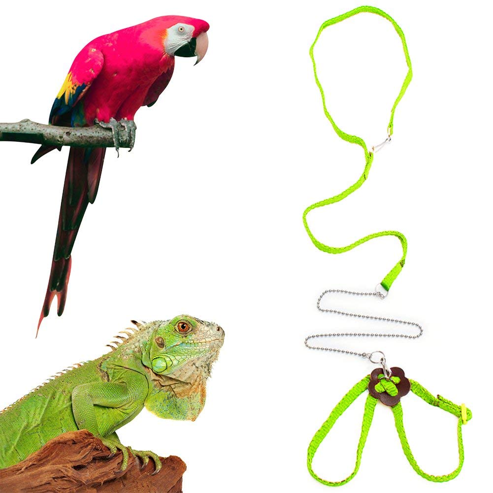 See full amazon price history chart for Sawyd Adjustable Reptile Lizard Harness Leash,Turtle Lizard Pet Traction Belt Bearded Dragon Accessories Soft Small Pet Animal Harness Rope,1.2M (Green) Sawyd Adjustable Reptile Lizard Harness Leash,Turtle Lizard Pet Traction Belt Bearded Dragon Accessories Soft Small Pet Animal Harness Rope,1.2M (Green) (B07THBTYV9) Amazon Price History, Amazon Price Tracker