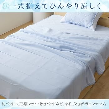 Amazon.co.jp: アイリスプラザ 接触冷感 ムレ軽減ひんやり&もっちり