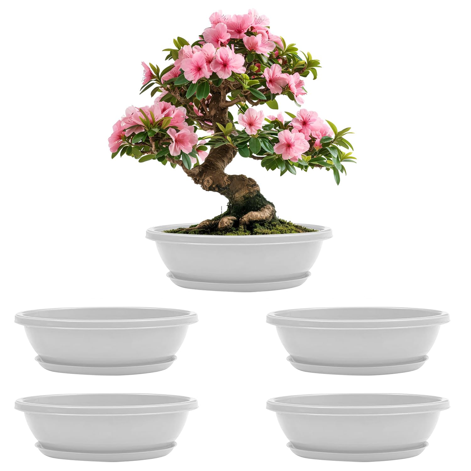 Agora 5 Piece 15" Bonsai Plant Flower Pot with Bonsai Tray Premium Virgin Plastic Shallow Pots for Plants with Drain Holes for Indoor/Outdoor/Tabletop Planter/Oval Shape Pot for Hybrid Plant (White) (B0CYGZYWBC) Amazon Price History, Amazon Price Tracker