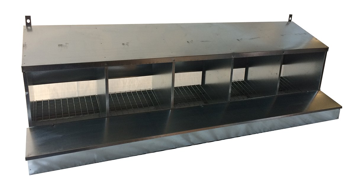 Nido a 5 Posti per Galline Ovaiole. Raccolta Uova dall'Interno del Pollaio. Cm 140 x 39 x H 42