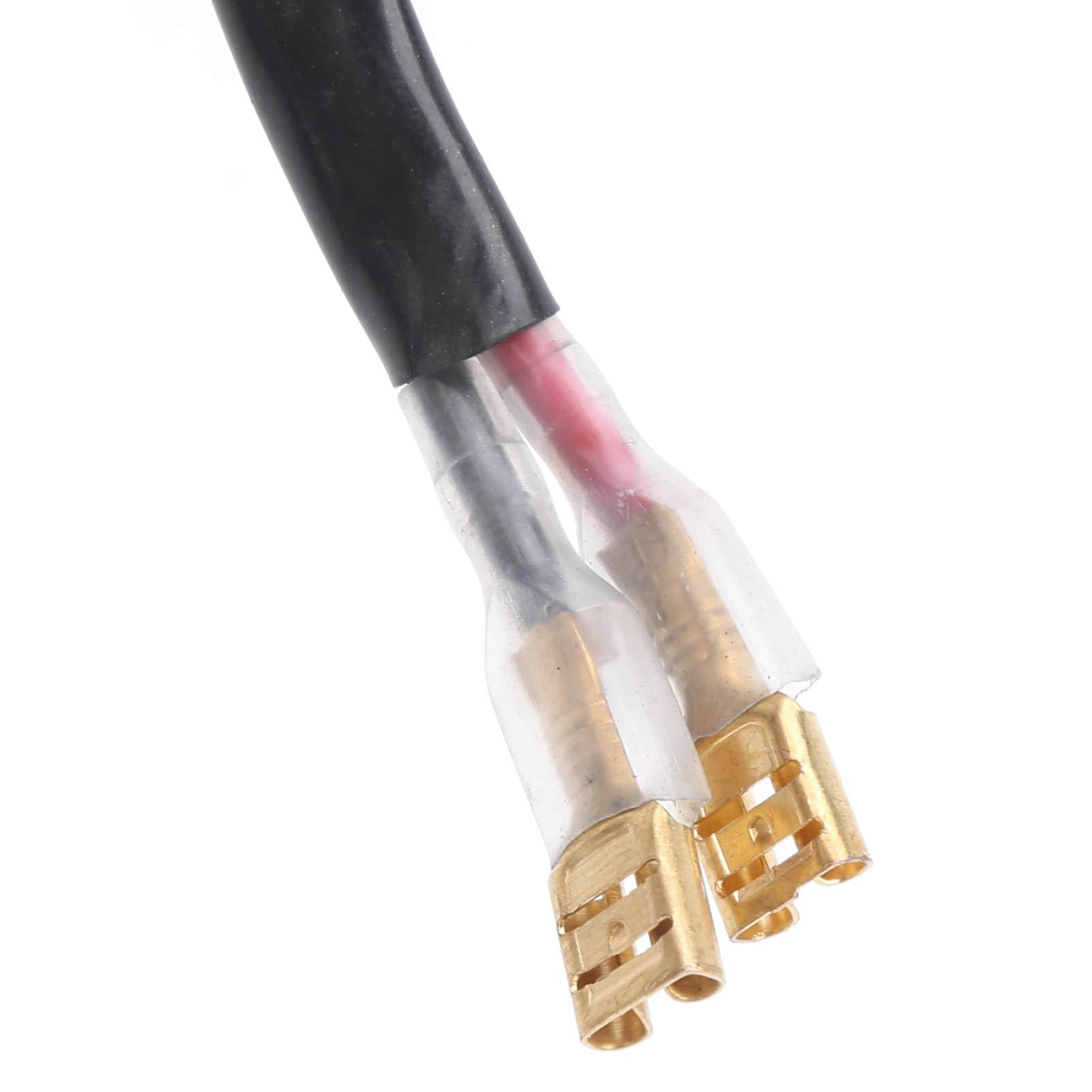 Motore a Spazzola Alta Velocità, Alta Potenza, Resistente per Scooter Elettrico, Bicicletta Elettrica, Sedia a Rotelle Elettrica con Motore Elettrico a Puleggia 12V 100W