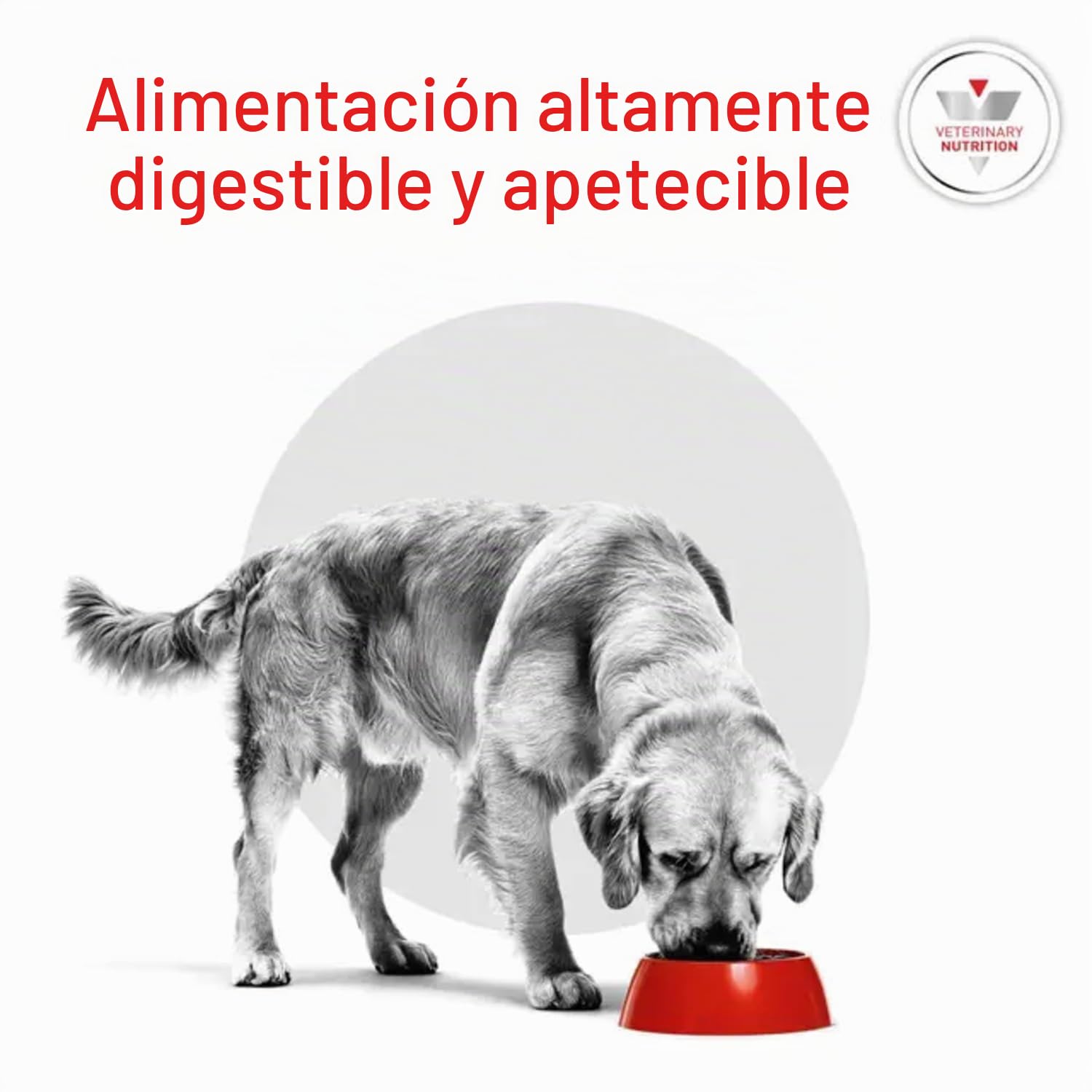 Royal Canin Alimento para Perros Diabetic DS37-12 kg
