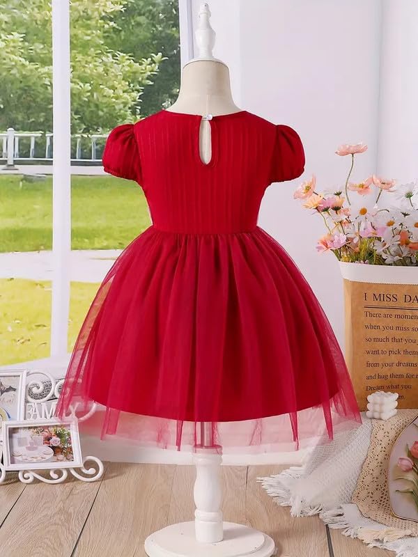 Image of Niren Enterprise Girls' Lilac Flower Waist, Tulle Skirt, Puff Sleeve, Elegant Birthday, Soft Lining Dress