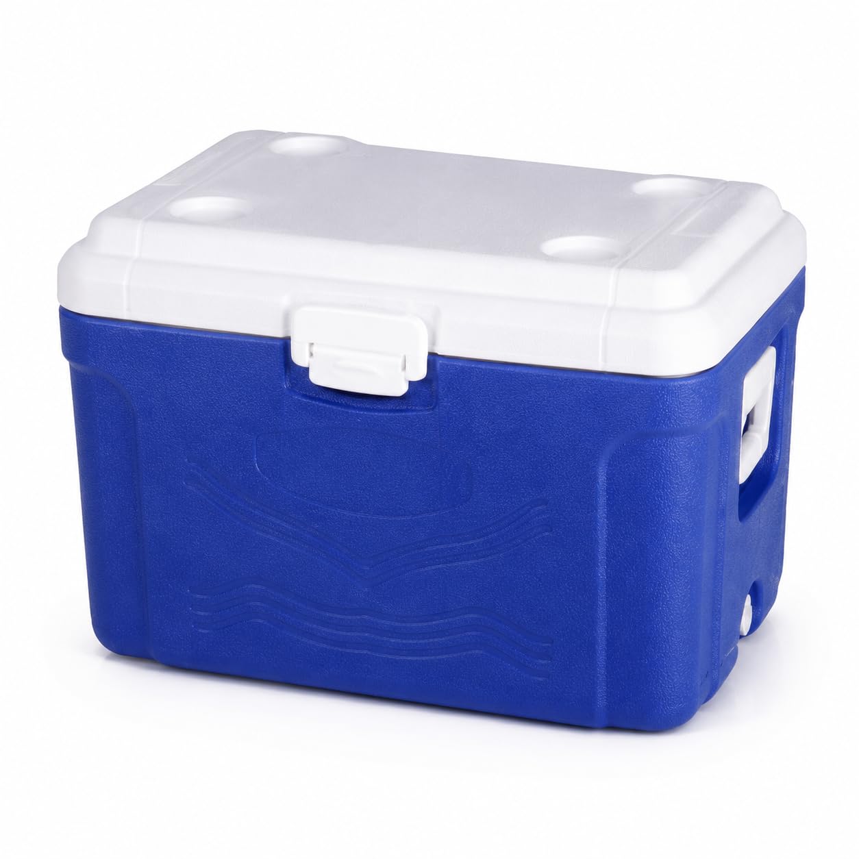 Glacière Portable Chaud Froid PE, Charnières durables, Boîte Conservation, pour Les Pique-niques, pour