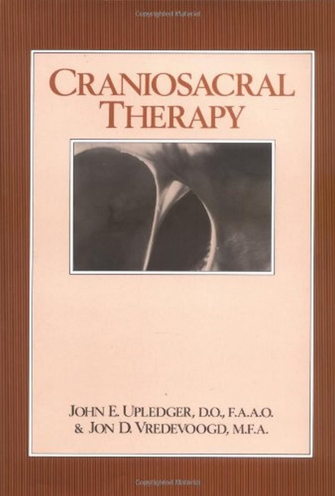 Craniosacral Therapy 1st Edition