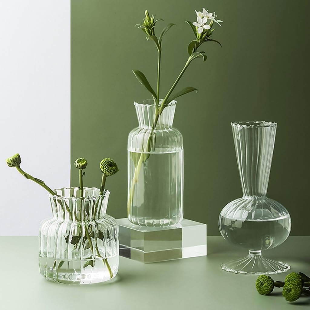 Accueil Vases Vase en Verre Transparent Fleurs séchées Petit Dispositif de Fleur décoration Bureau Maison Salon Pot hydroponique Décor intérieur