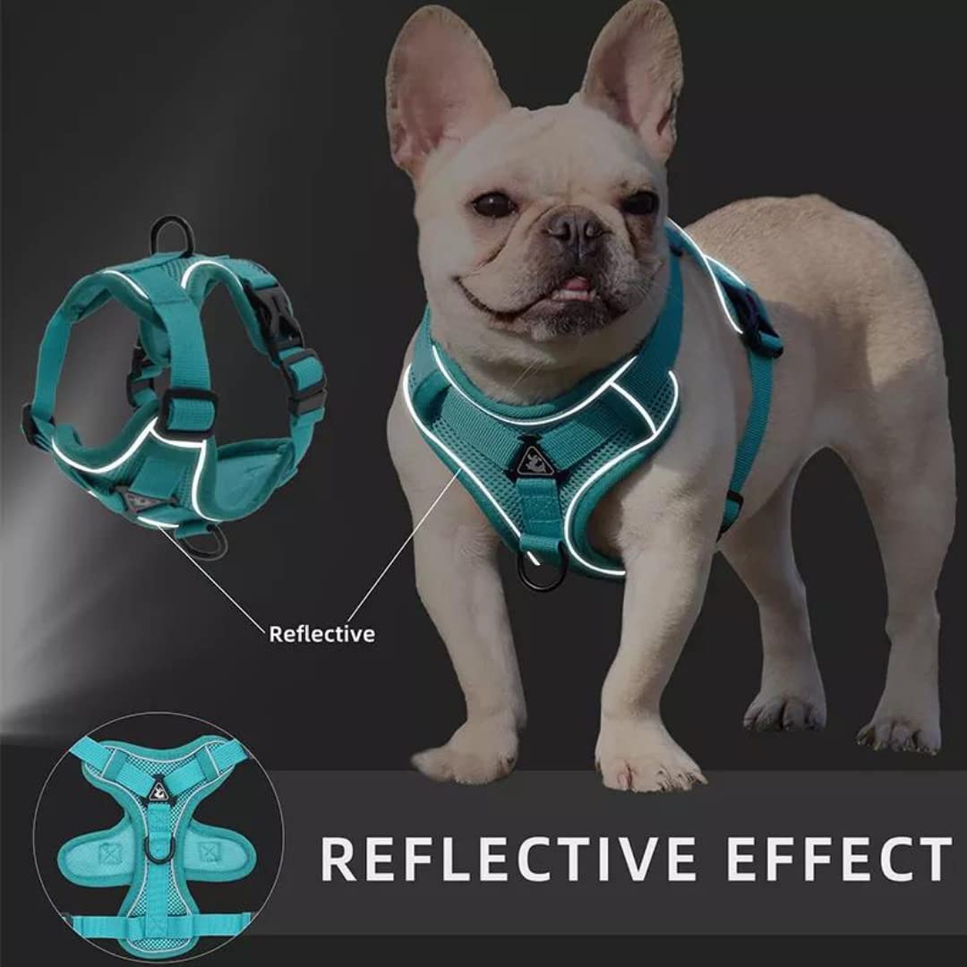 TruBest™ Small Dog Vest Harness | Puppy or Cat Vest Harness | Dog Harness with Nylon Leash | Soft & Breathable | Reflective Escape Proof | No Pull No Choke Harness (Medium, Red) 1