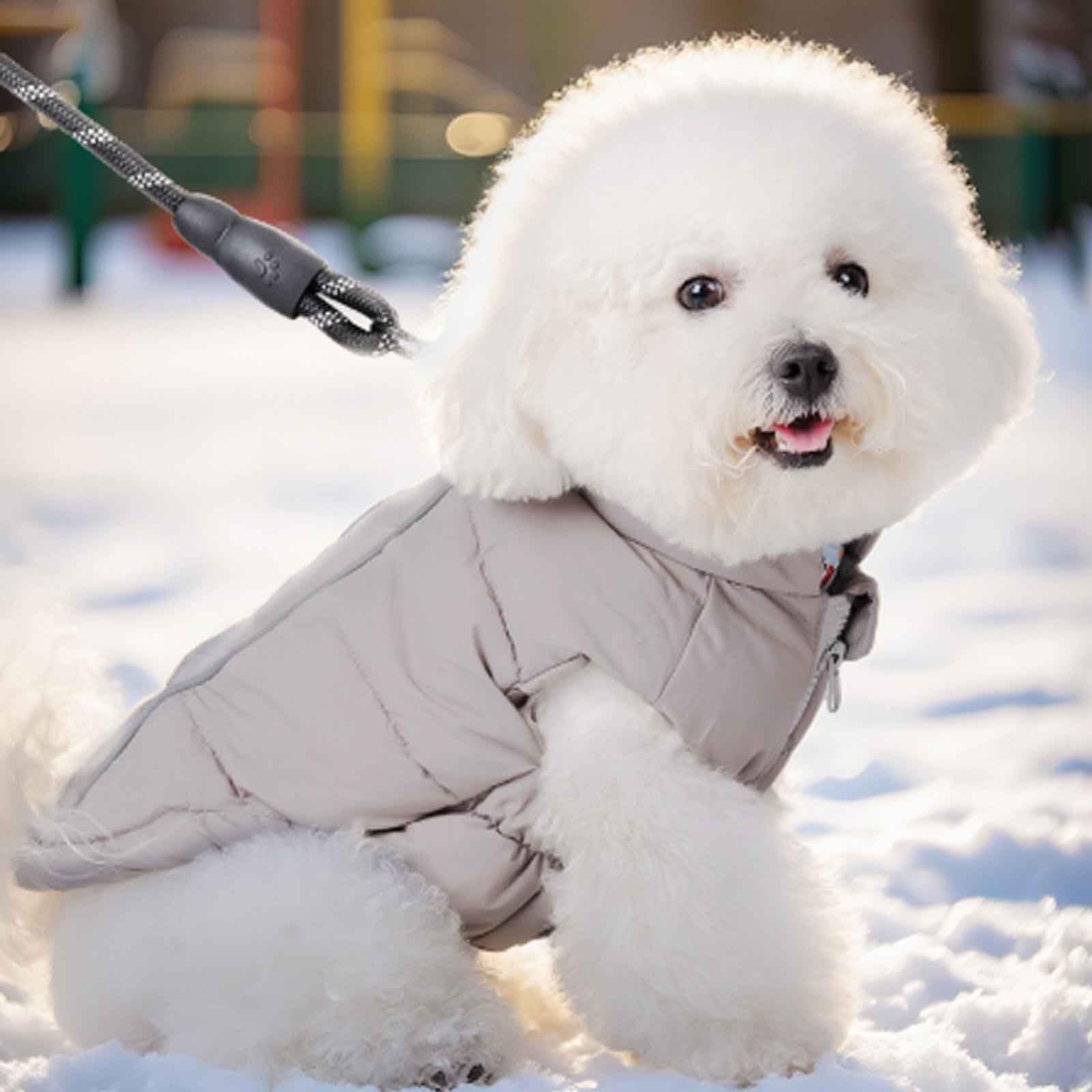 Piumino per Cani Caldo, Cappottino Cane Invernale, Giubbotto Cane Inverno con Foro per Imbracatura E Strisce Riflettenti, per Cani Piccola,Viola,3XL
