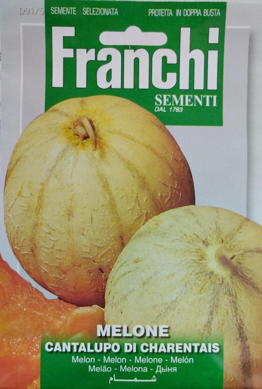 Premium Quality Melon Seeds