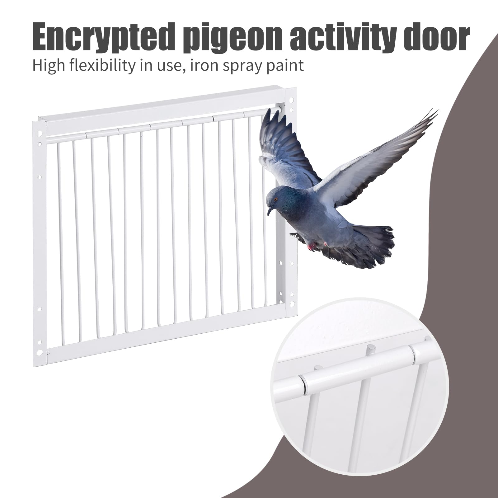 T-Trap - Porta d'ingresso per animali domestici, usa e getta, per piccione da corsa, piccione, porta d'ingresso in ferro, pappagallo, accessorio per l'allevamento di uccelli, 33 x 26 cm