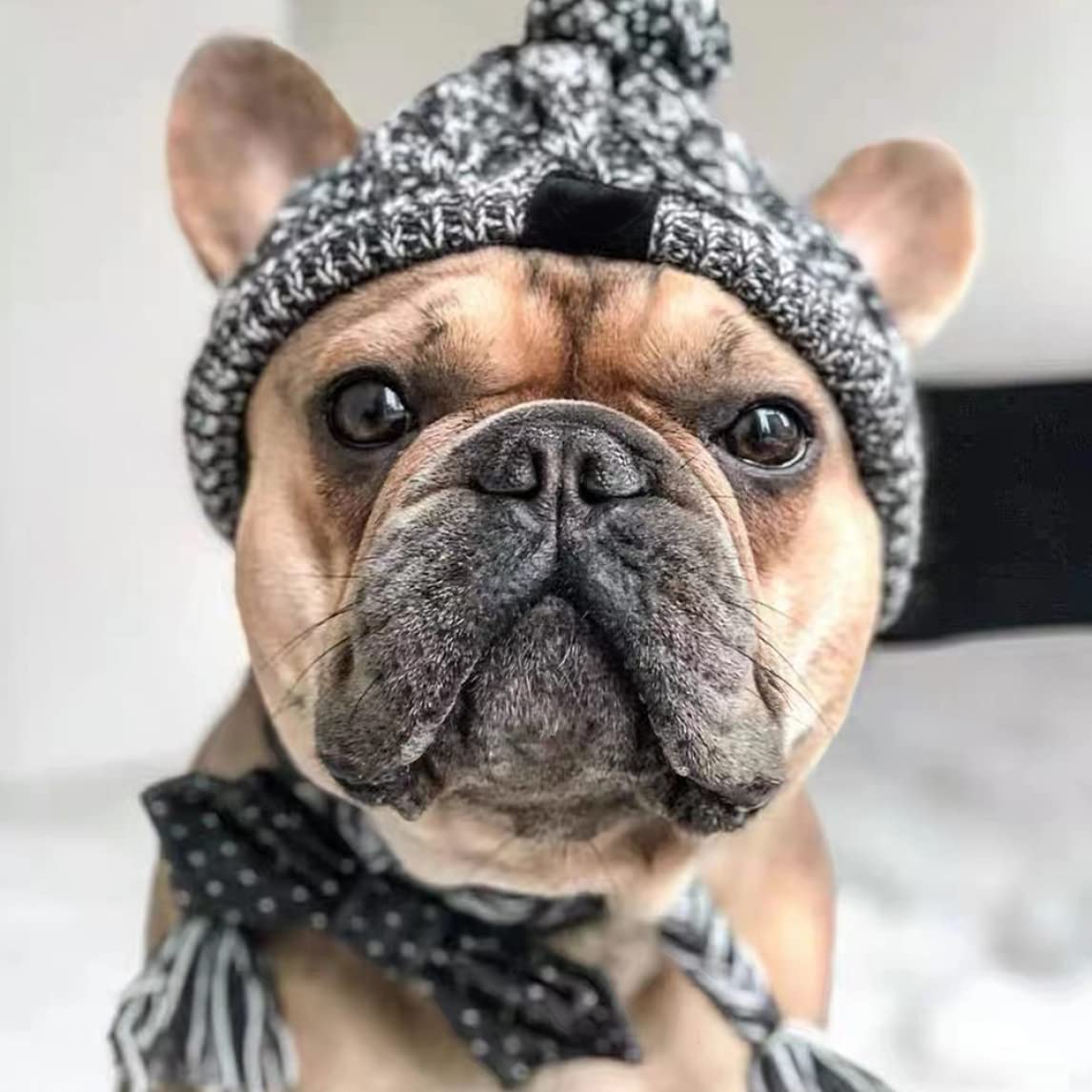 Dog Knitted Hat Winter Warm Windproof Dog Cap with Pom Pom Ear Holes Tassel, Dog Winter Hat, Dog Knitted Hat