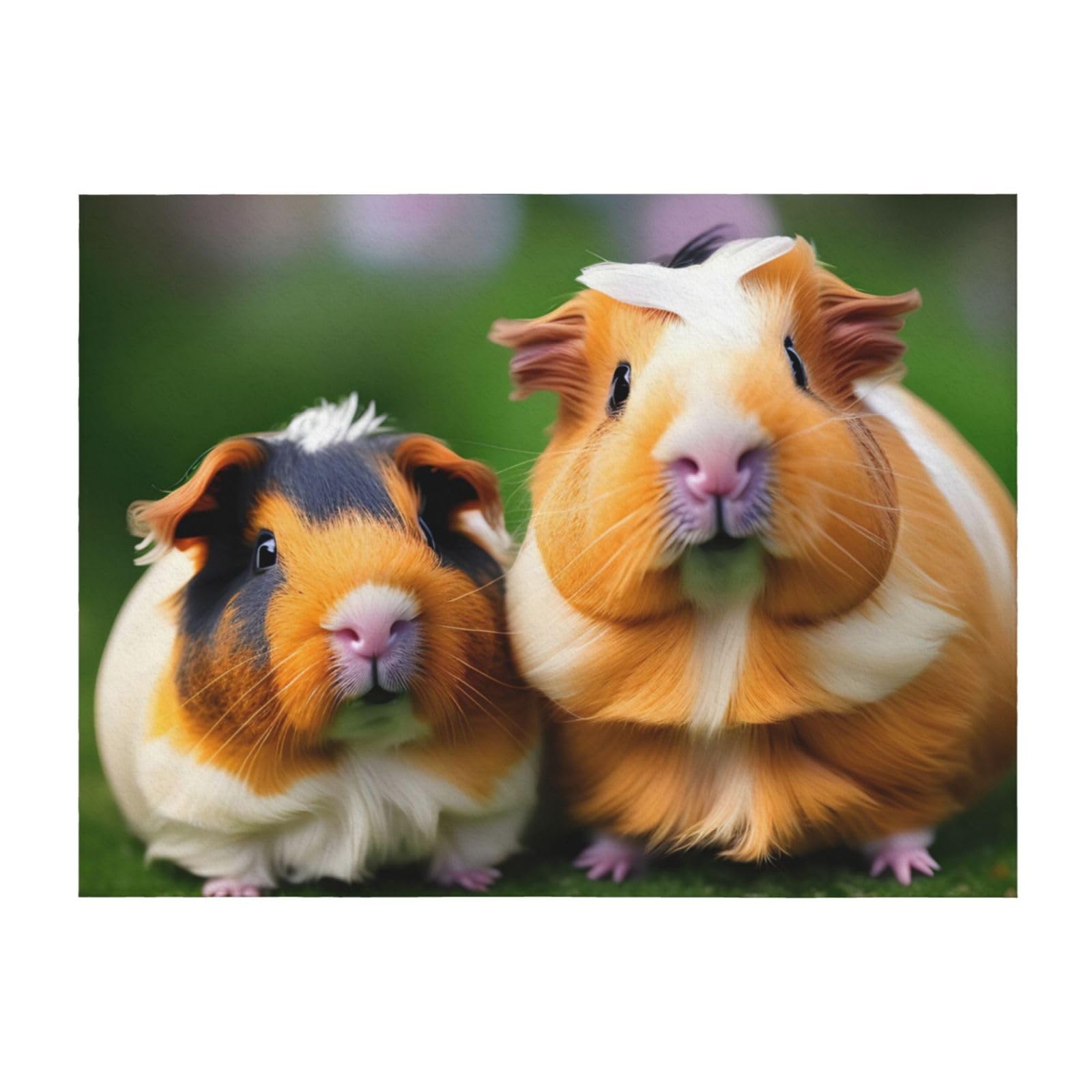 Couverture de lit cochons d'Inde pour des soirées cocooning et légères