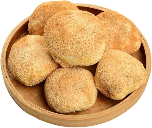 Melena de león seca orgánica hericium erinaceus hericium erinaceum hericio hongo de dientes de cabeza de oso hongo de cabeza de mono hongo de