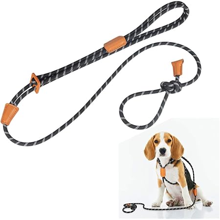 harness lead amazon