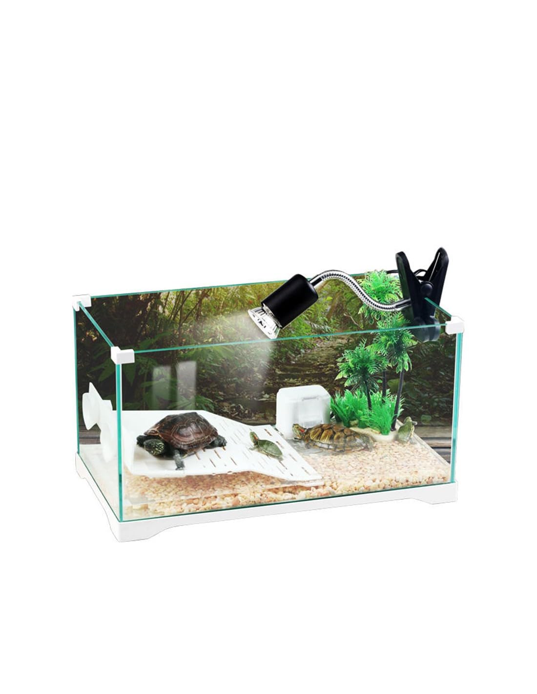 Aquariumline - Tortuguera de cristal para reptiles, tortugas de agua y de tierra, 60 x 32 x 27 cm, capacidad 54 litros