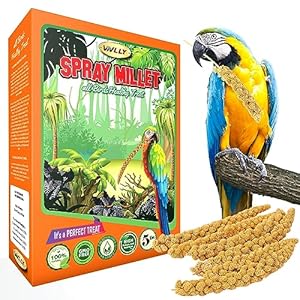 5 lbs of GMO-Free Sun-Dried Spray Millet – Natural Bird Treat for Parakeets, Cockatiels, Finches, and More – Non-GMO, Rich in Amino Acids, Convenient Storage, Delicious & Healthy Bird Snacks (5 lbs)