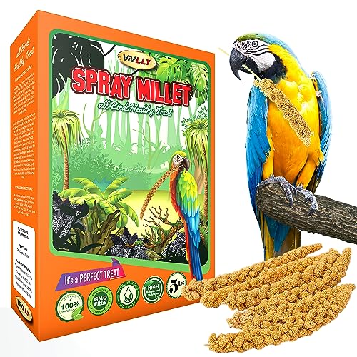 5 lbs of GMO-Free Sun-Dried Spray Millet – Natural Bird Treat for Parakeets, Cockatiels, Finches, and More – Non-GMO, Rich in Amino Acids, Convenient Storage, Delicious & Healthy Bird Snacks (5 lbs)