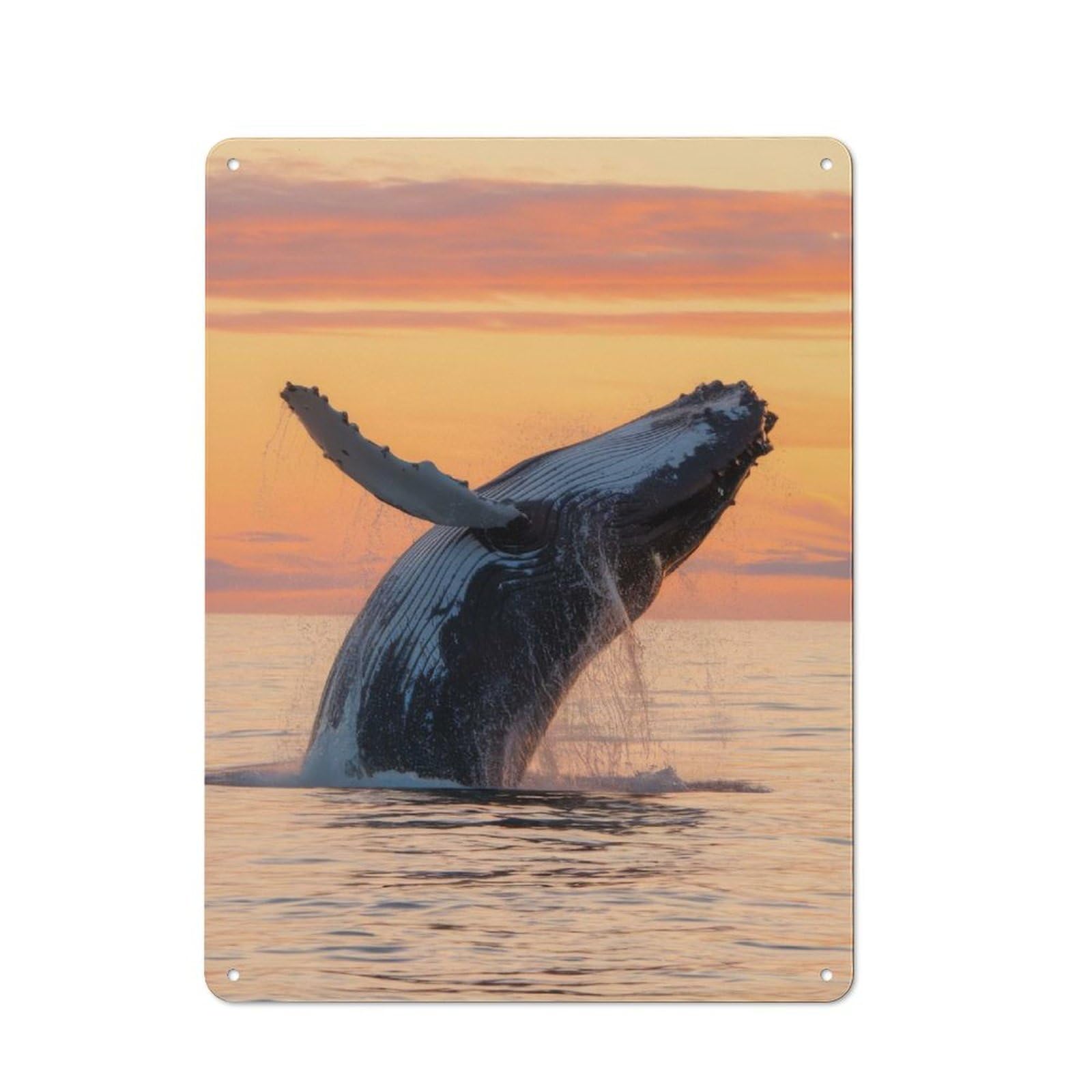 Shed Metal Sign with Humpback Whale Breaching Sunset Design 40x30cm, Outdoor Room Shed Wall Decor for Greenhouse, Garden Room, Cafe Or Entryway
