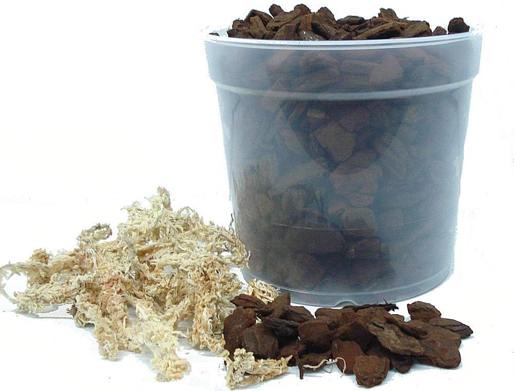 All in One, Everything Needed to Repot Your Orchid - Extra Large Bark - 6 inch Pot - Please Choose Bark & Pot Size