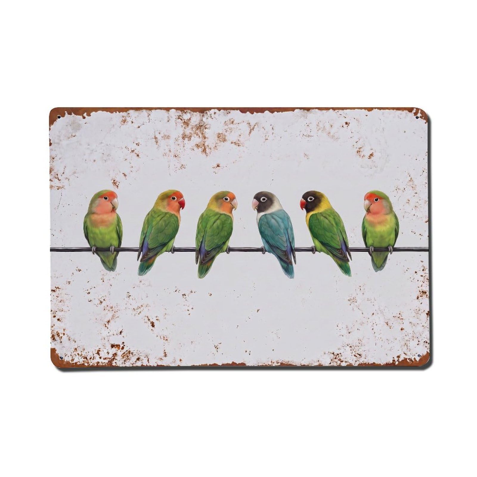 Vintage Retro Birds Lovebird Metal Tin Sign