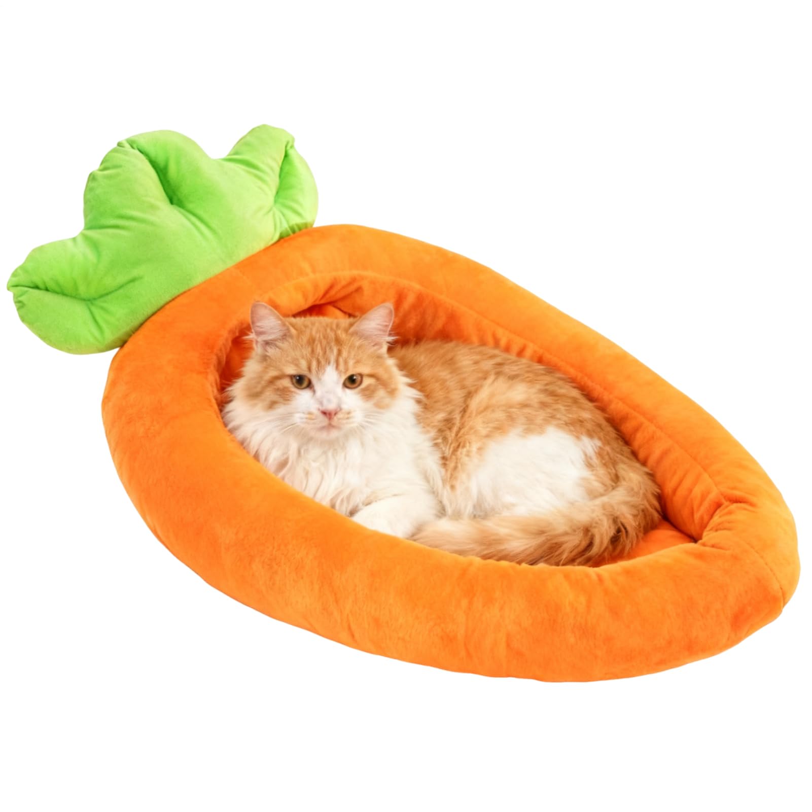 Katzenbett, warm, Karotte, waschbar, waschbar, Winter-Kätzchenbett