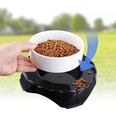 microwavable dog bowl