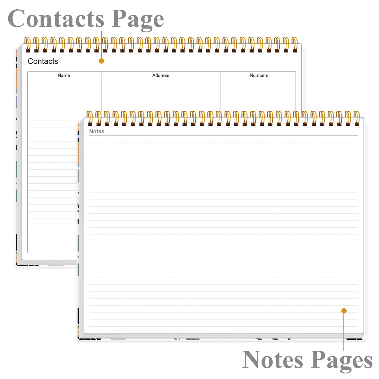 Agenda settimanale per la produttività, 21,6 x 27,9 cm, con 6 aree di messa a fuoco per elencare attività per obiettivi, progetti, clienti, accademici o pasti, per organizzare il tuo lavoro quotidiano