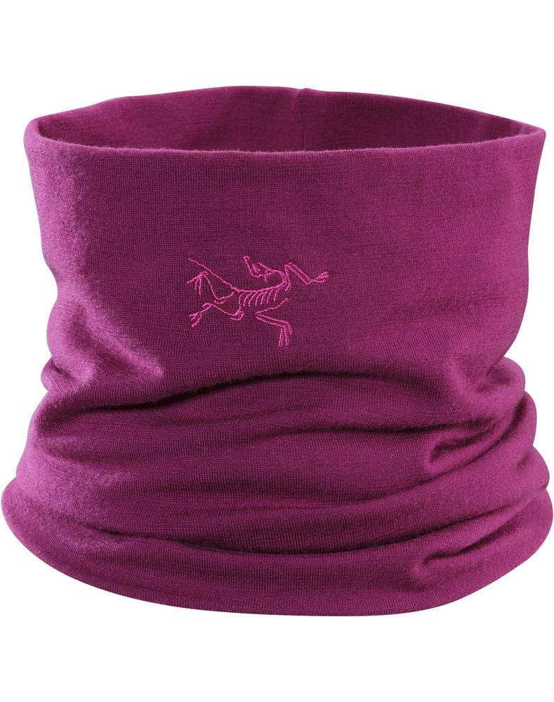 Arc'teryx Arcteryx Rho LTW Neck Gaiter Hats & Headwear Lt Chandra