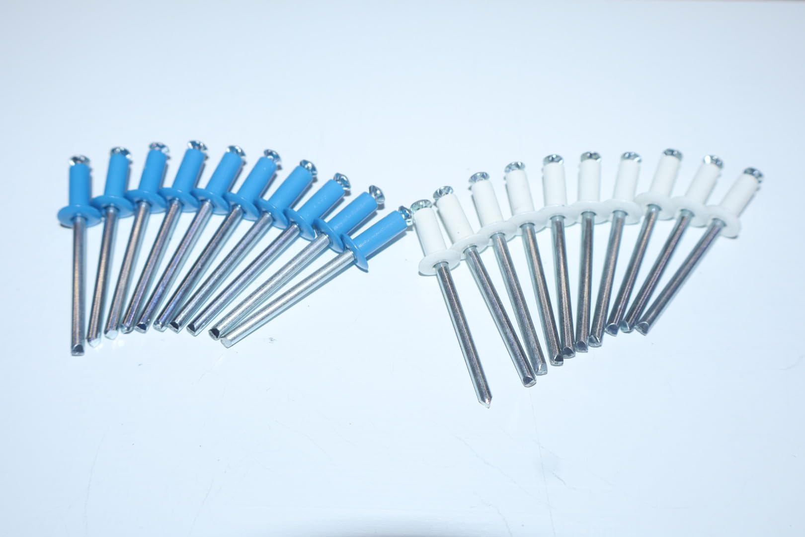 VITFER Kit 100 Rivetti 4.8x12 a Fiore per Targhe Auto Moto 60 Blu 40 Bianchi