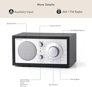 Amazon.com: Tivoli Audio Model One AM/FM Table Radio (Black