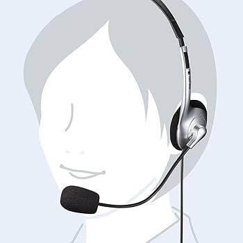 Amazon.co.jp: サンワサプライ タブレット用ヘッドセット 3.5mm