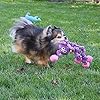 Extra Large Octopus Dog Toy