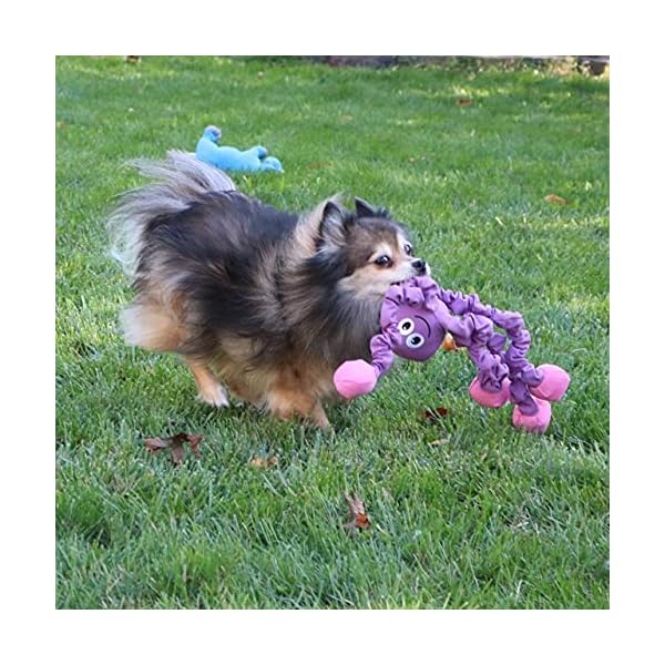 Extra Large Octopus Dog Toy