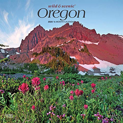 Wild & Scenic Oregon 2020 Calendar (English and Spanish and French Edition)