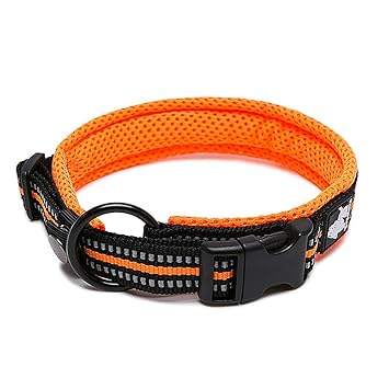 PetsUp Stylish Nylon Reflective Collar Neck Belt for Small, Medium Large Dogs, XL (Orange)