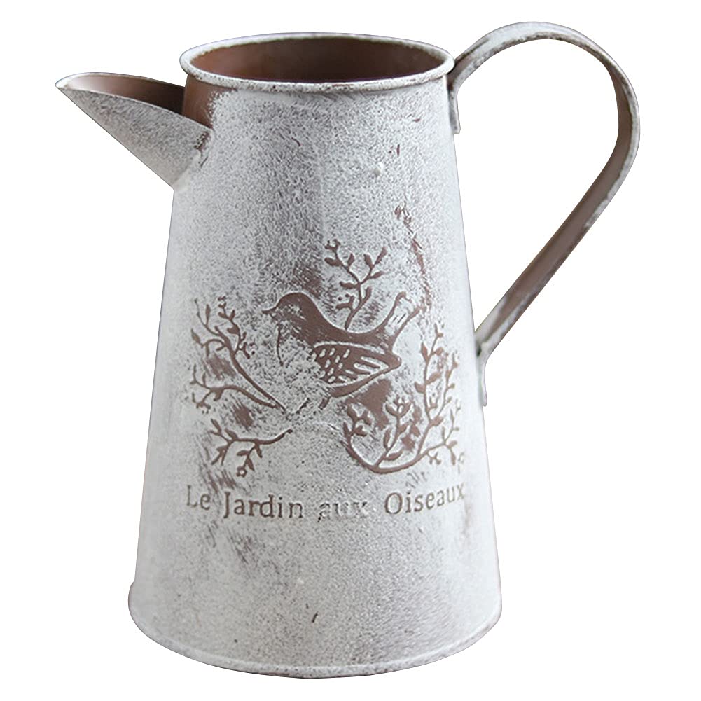 Indoor Watering Can, Watering Can Decoration Iron Vase Watering Pot Flower Container Flower Holder Jug for Home Garden Decoration Style1