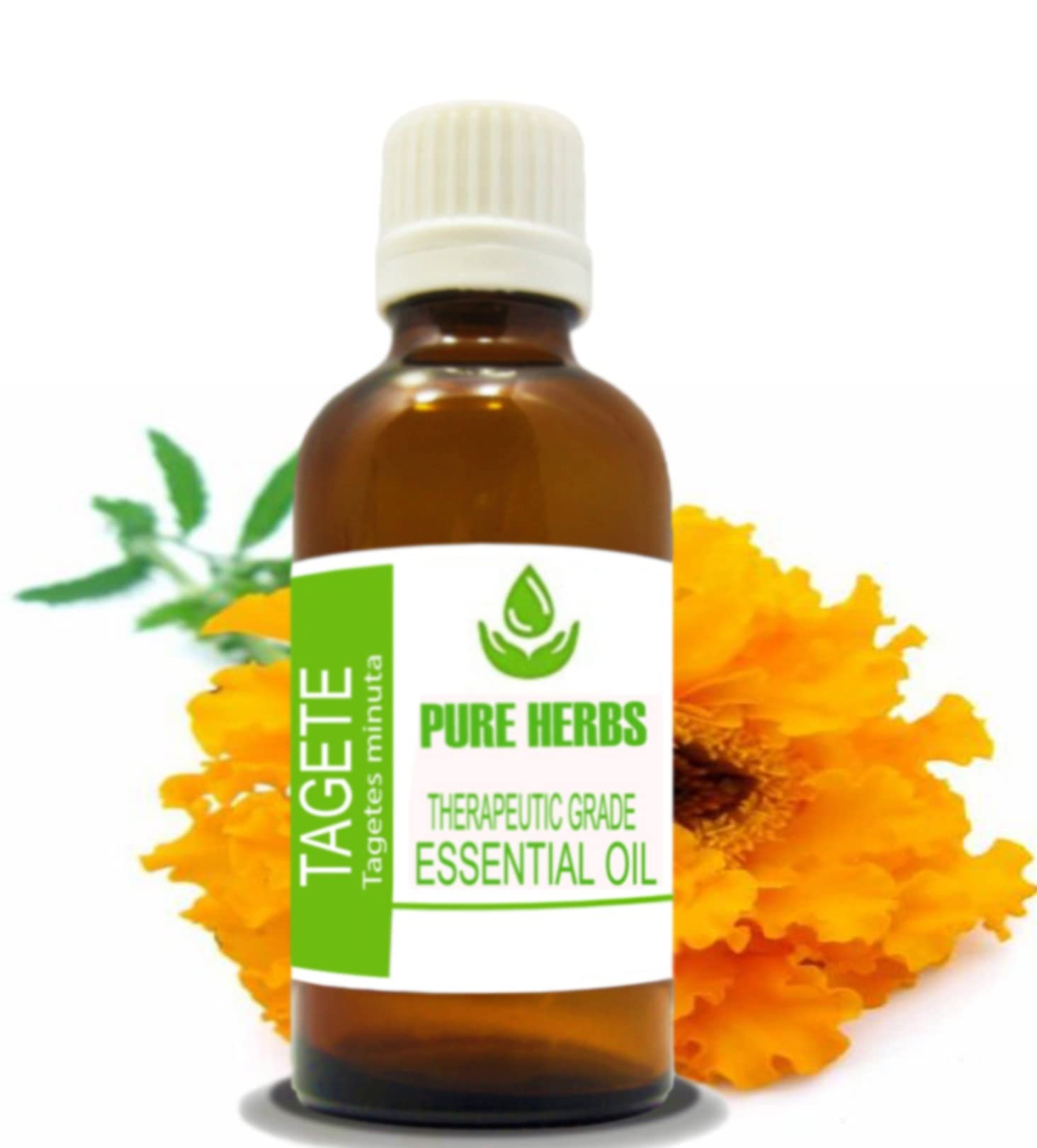 Pure Herbs TAGETE (TAGETES MINUTA) Pure & Natural Therapeutic Grade Essential Oils (250ml)
