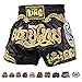Top King Boxing Muay Thai Shorts Normal or Retro Style Size S, M, L, XL, 3L, 4L (Black/Gold Muay Thai L)