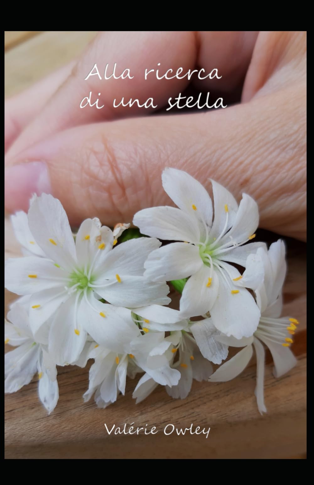 Alla ricerca di una stella (Il casale Hofer)