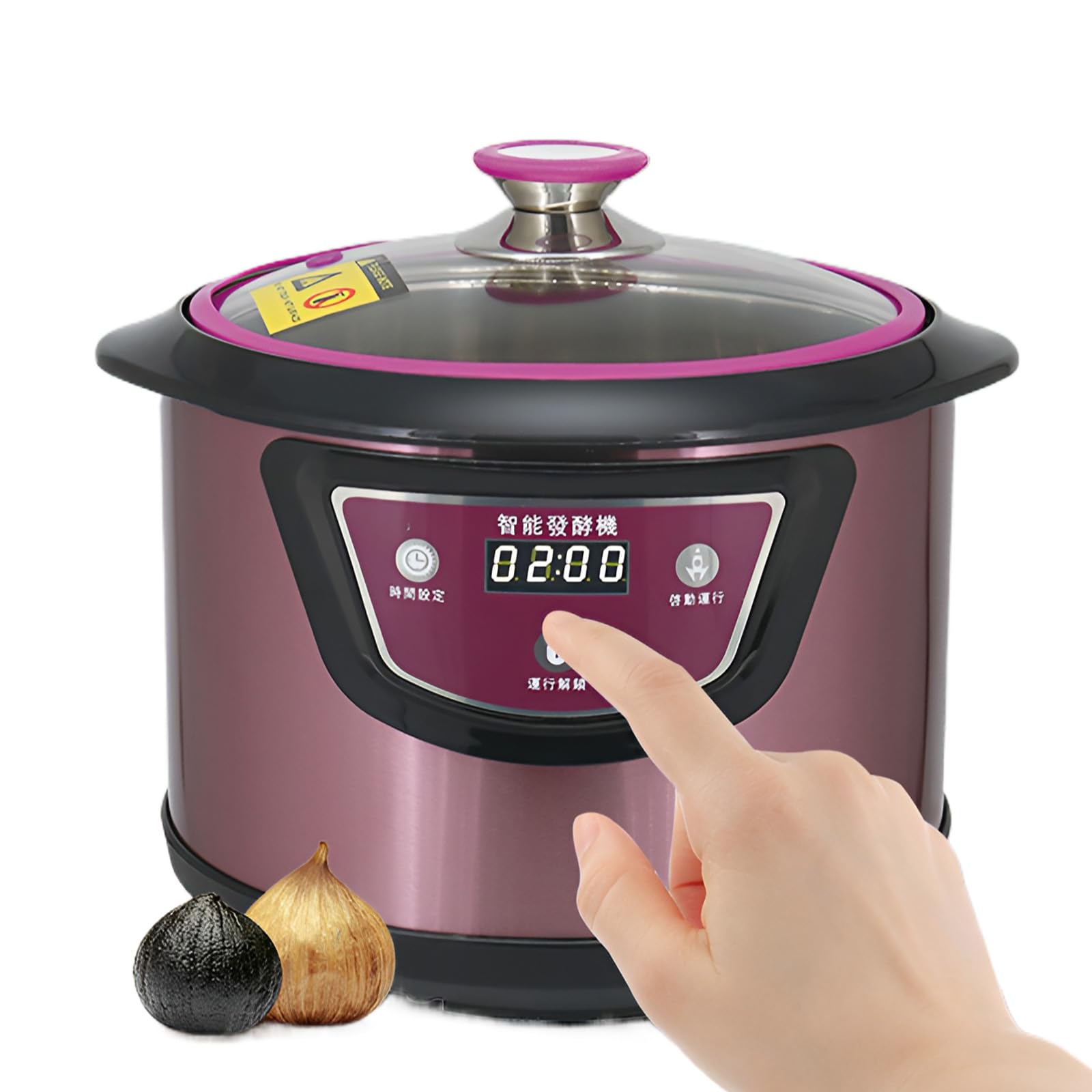 Fermenteur d'ail automatique et multi-usage de 5L avec fonction séchage