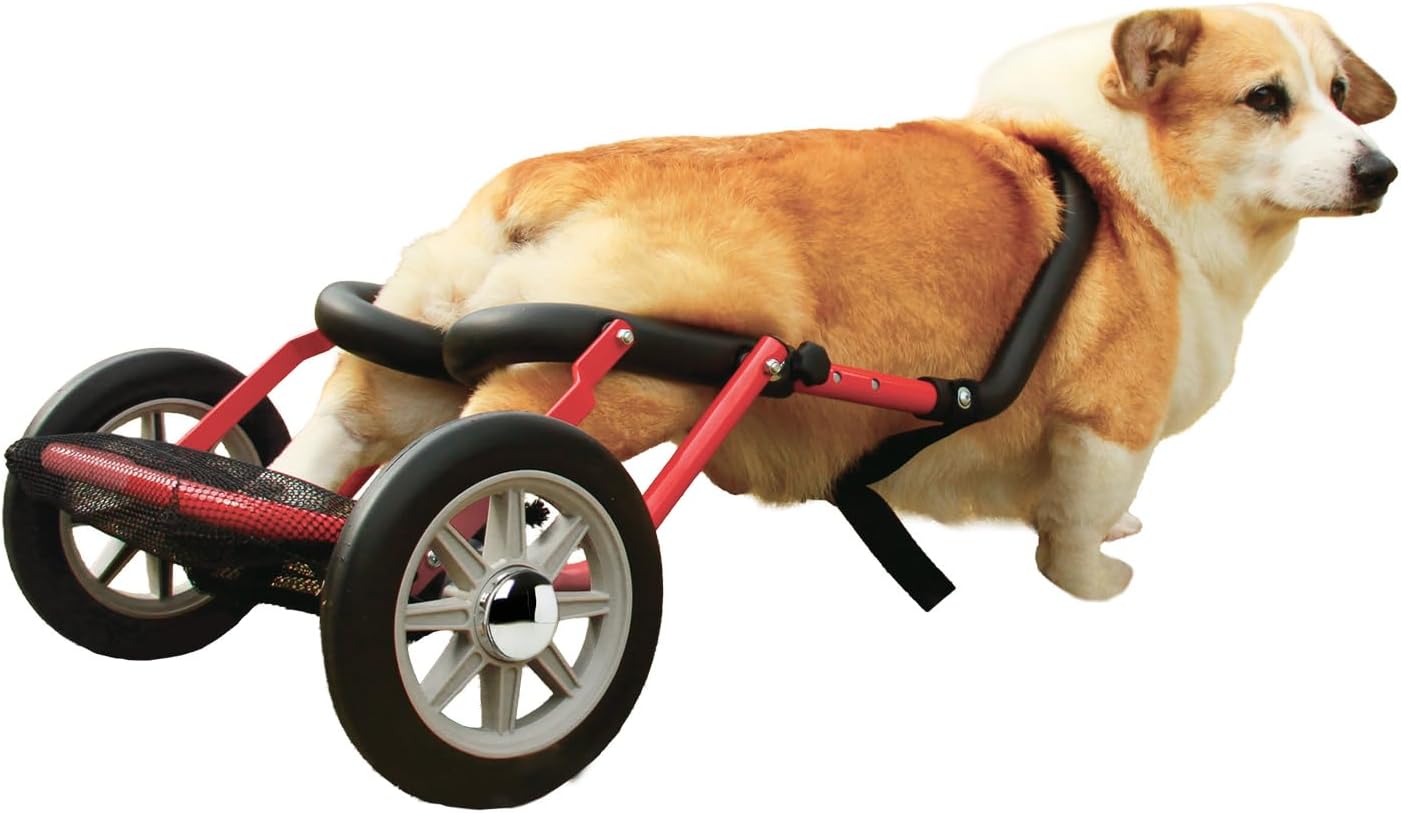 PaletteLife Adjustable Dog Wheelchair (Corgi), Hind Legs Rehabilitation, Pet Supplies, Leight-Weight Dog Cart, Wheels