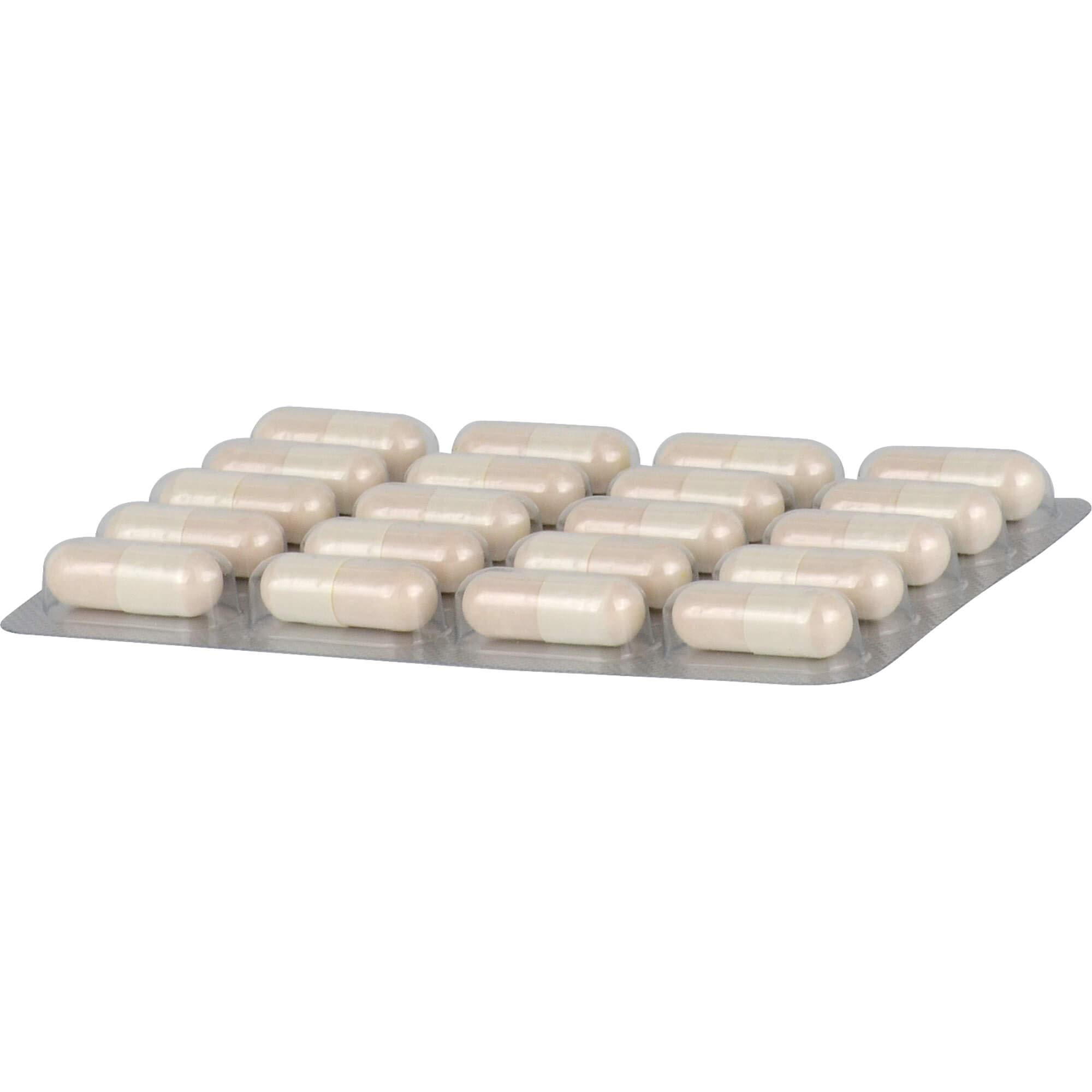 Antarktis Krill Care Kapseln