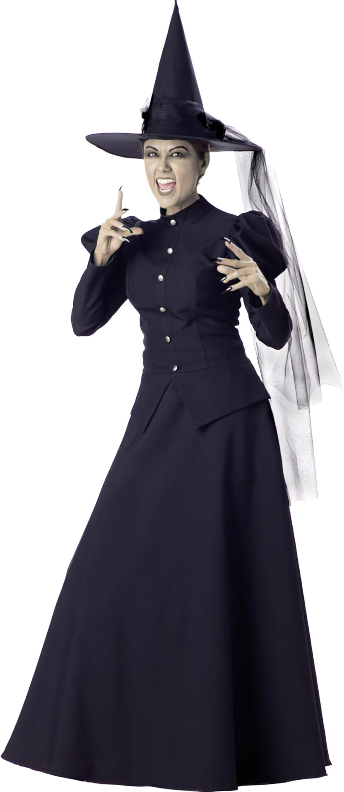 Wretched Witch Adult Costume