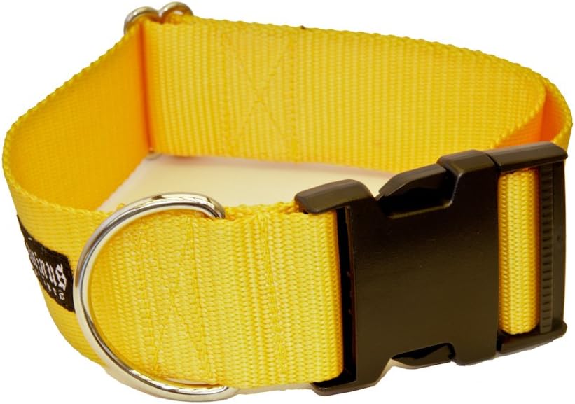 2 Inch Buckle Dog Collars - Heavy Duty Nylon (2" Width Dog Collars (Neon Lime Green, XX-Large)