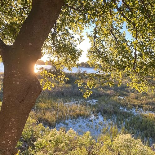 Reluctant Journey With a Faithful God Titelbild