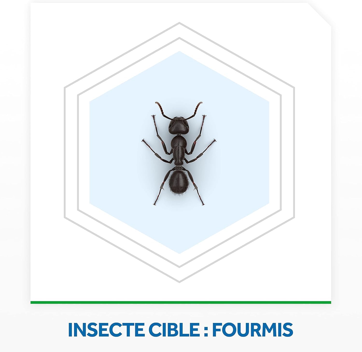 Raid Max Système Anti-Fourmis - Elimine les Fourmis en 3 à 4 Semaines - 1 Piège — vue 4