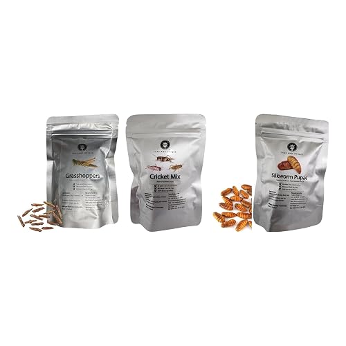 Thailand Unique Isan Favorites, Bundle, Edible Insect Snack Pack |